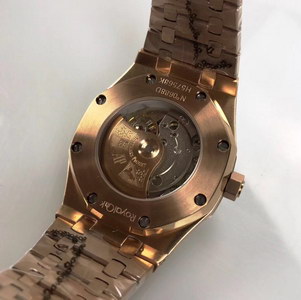 AP Mechanical Watch-028