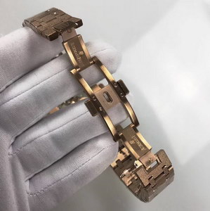 AP Mechanical Watch-042