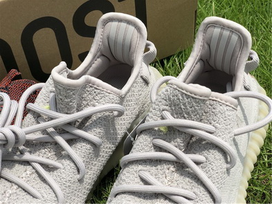 authentic ad*s Y**zy 350 boost v2-029
