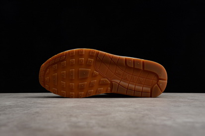 Atmos x Nike Air Max 1 DLX‘Animal Pack’2.0-002