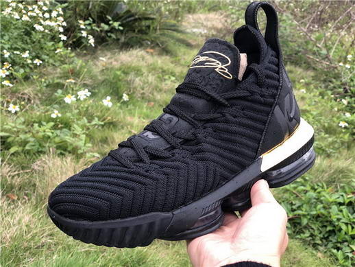 Authentci Lebron XVI LMTD EP-007