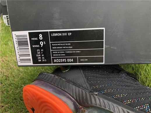 Authentci Lebron XVI LMTD EP-003