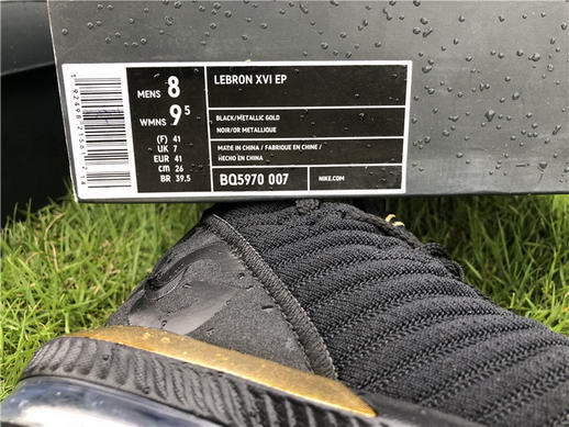 Authentci Lebron XVI LMTD EP-007
