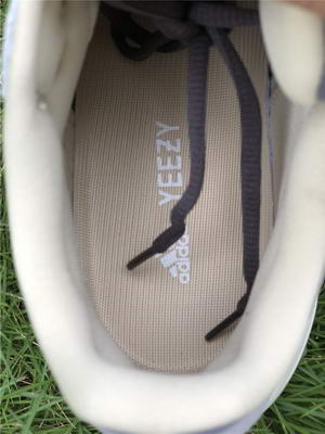 Authentic Adidas Yeezy 700 Magnet
