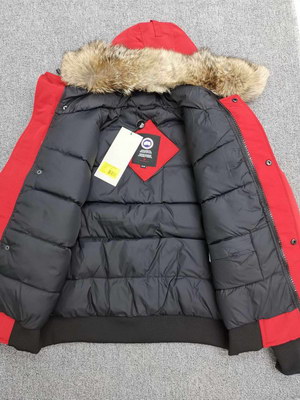 Canada Goose Coat-01-124