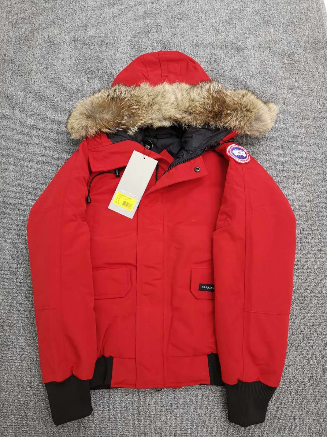 Canada Goose Coat-01-124