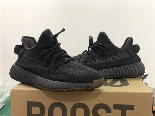 Authentic Adidas Yeezy 350 V2-015