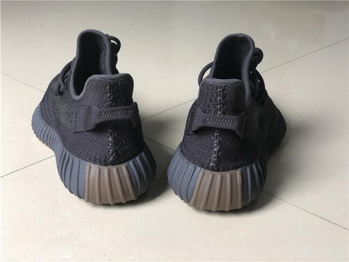 Authentic Adidas Yeezy 350 V2-015