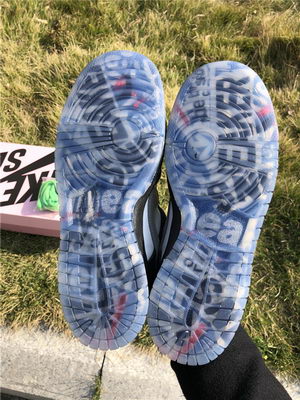 Staple x Nike Dunk SB Low