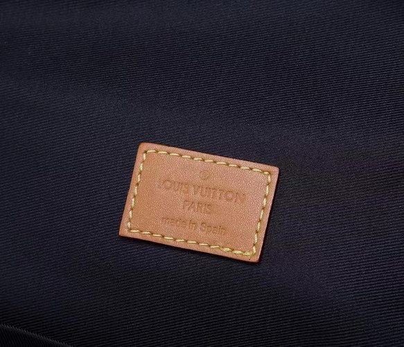 LV Backpack(AAAA)-070