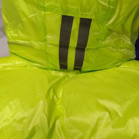 Canada Goose Coat (2252)-215
