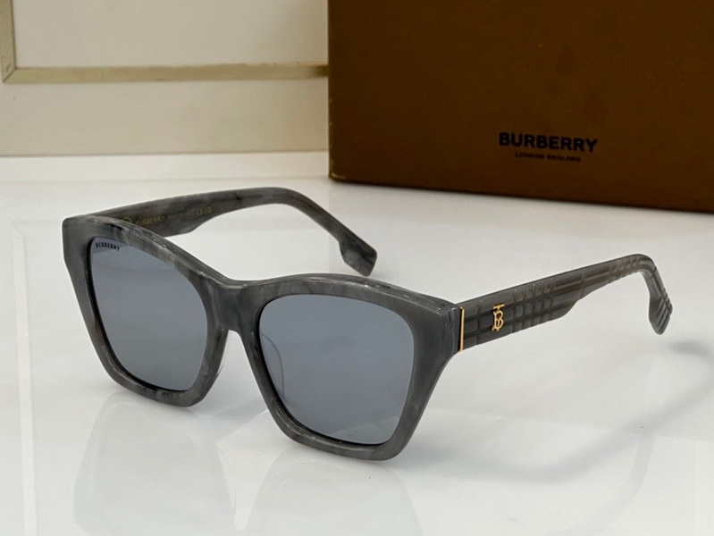 B**rry sunglasses(aaaa)-911