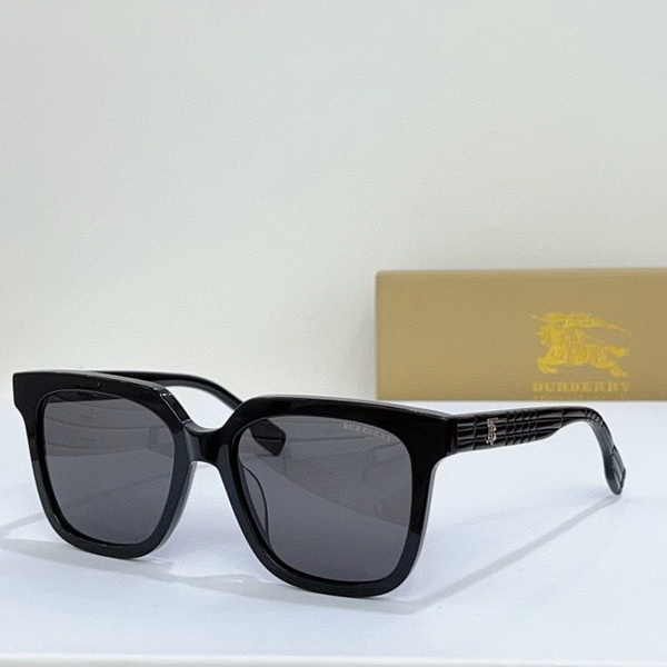 B**rry sunglasses(aaaa)-887