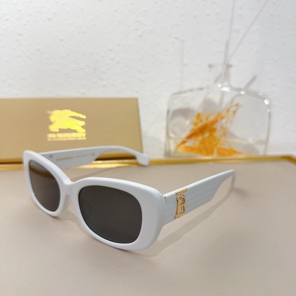 B**rry sunglasses(aaaa)-845
