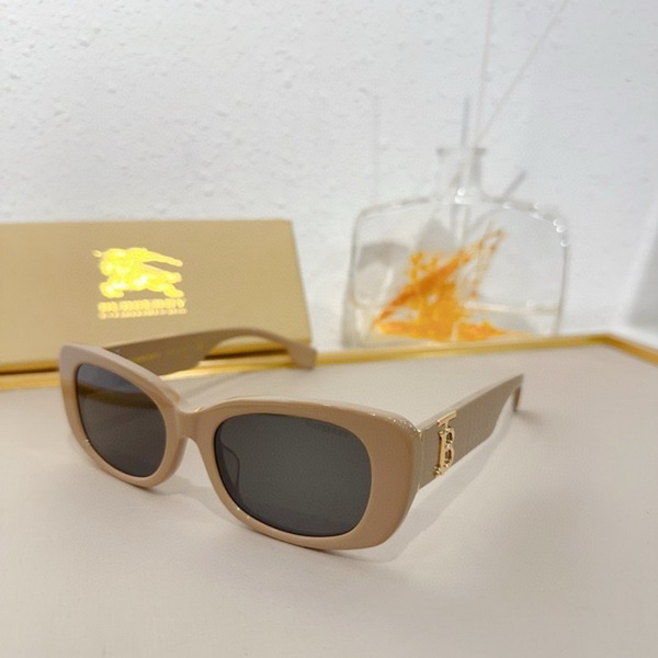 B**rry sunglasses(aaaa)-841