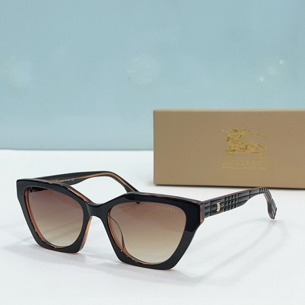 B**rry sunglasses(aaaa)-837