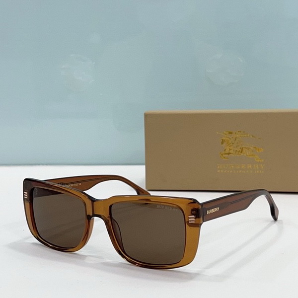 B**rry sunglasses(aaaa)-778