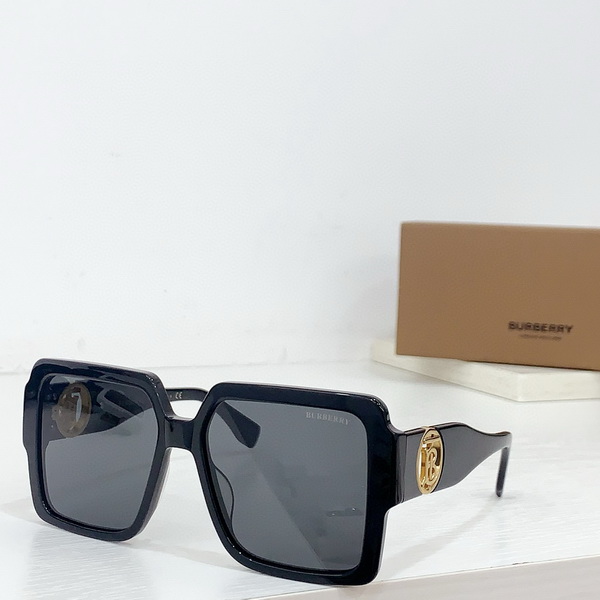 B**rry sunglasses(aaaa)-583