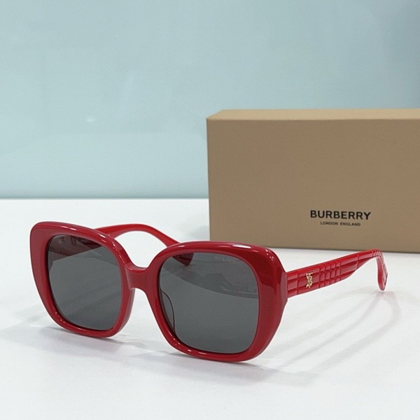 B**rry sunglasses(aaaa)-541
