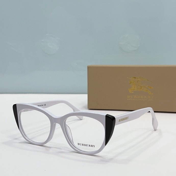 B**rry sunglasses(aaaa)-309