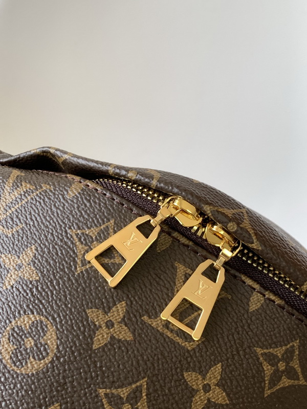 LV Small bags(AAA)-020