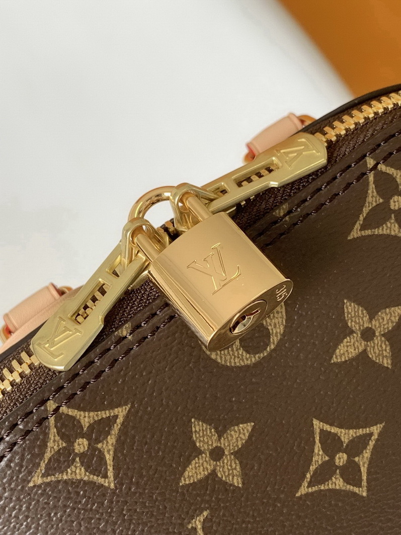 LV Backpack(AAA)-149