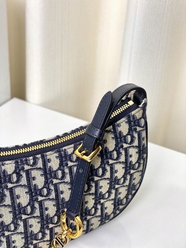 Dior Handbags AAA(Women)-170