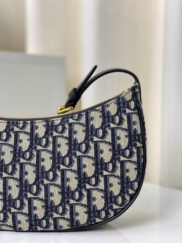 Dior Handbags AAA(Women)-170