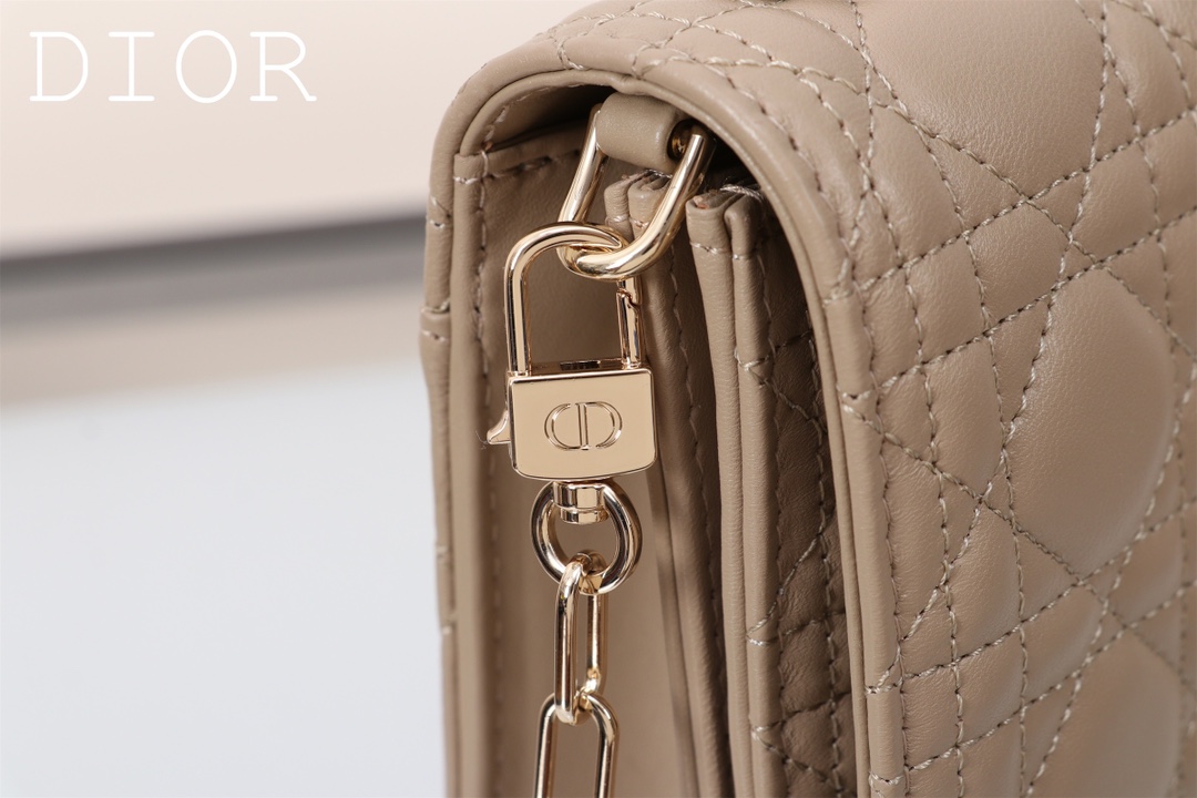 Dior Handbags AAA(Women)-522
