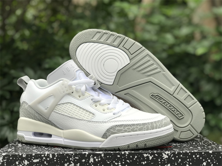 Air Jordan Spizike Low-001