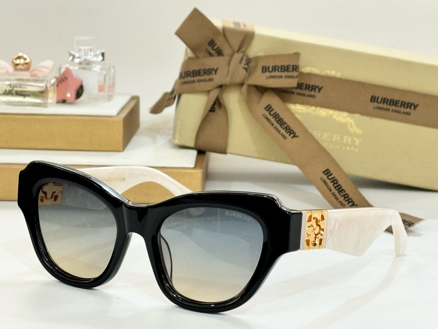 B**rry sunglasses(aaaa)-1141
