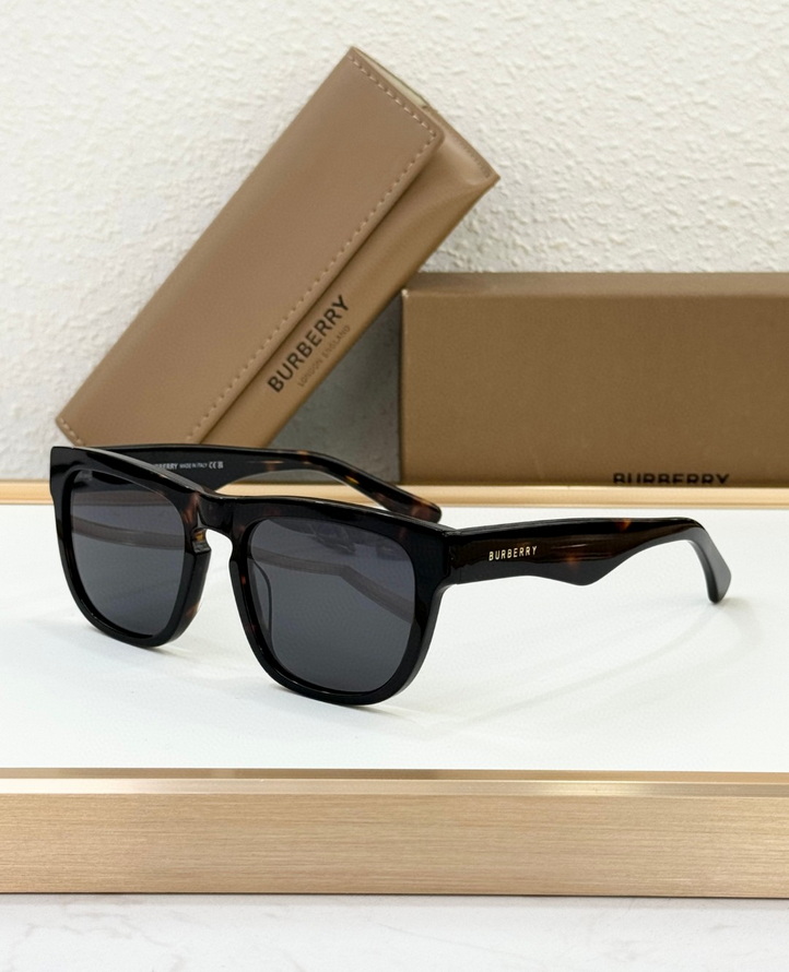 B**rry sunglasses(aaaa)-1100