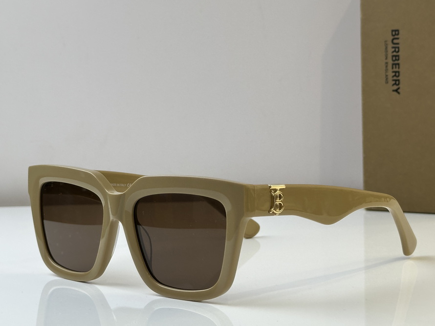 B**rry sunglasses(aaaa)-1037