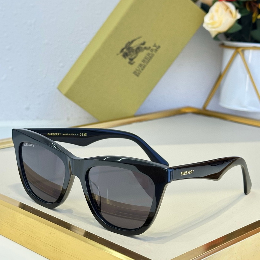 B**rry sunglasses(aaaa)-949