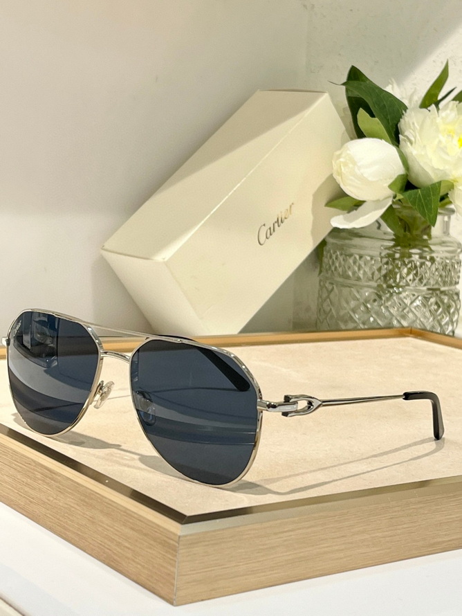 Ca*t*er sunglasses(aaaa)-1473