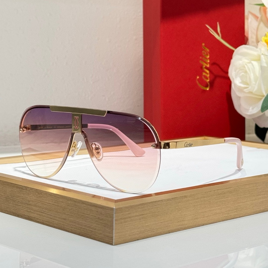Ca*t*er sunglasses(aaaa)-873