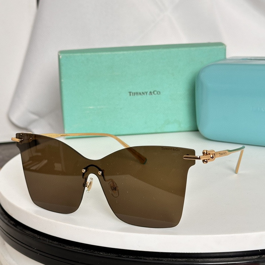 T*f*ny&co. sunglasses(aaaa)-689