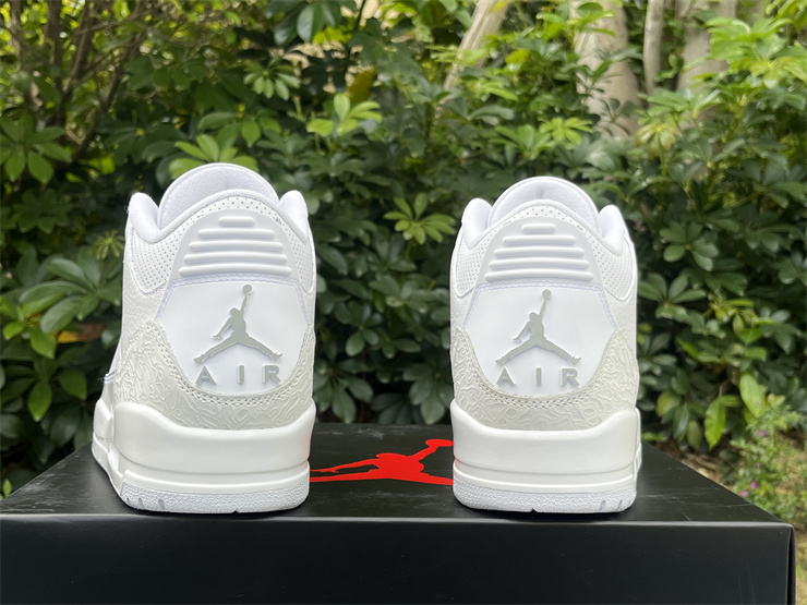 Air Jordan 3 Pure Money