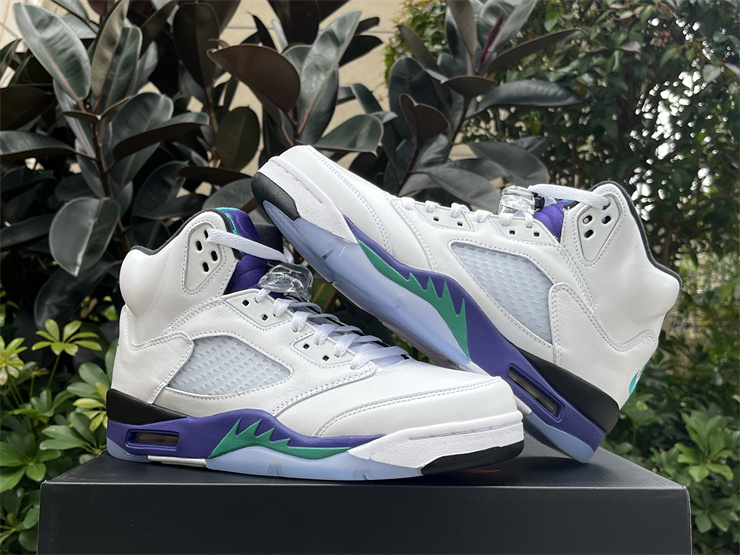 Air Jordan 5 Retro Grape