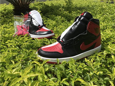 Air jordan 1s Homage To Home