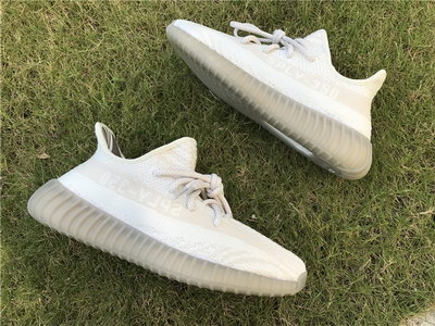 Authentic Adidas Yeezy 350 Boost V2-006