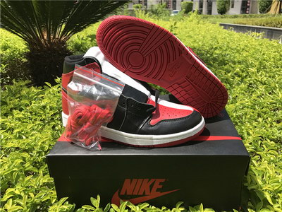 Air jordan 1s Homage To Home